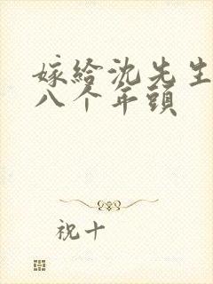 嫁给沈先生的第八个年头