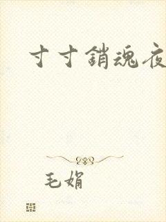 寸寸销魂夜春光