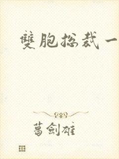 双胞总裁一个妻