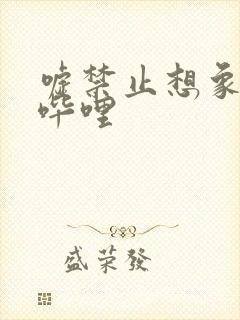 嘘禁止想象哔哩哔哩