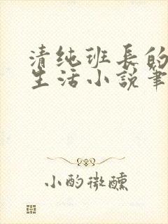 清纯班长的日常生活小说笔趣阁免费阅读