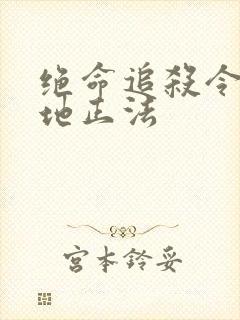 绝命追杀令2就地正法