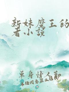 新妹魔王的契约者小说