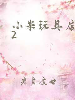 小米玩具店老板2