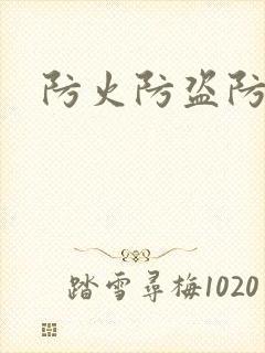 防火防盗防师兄