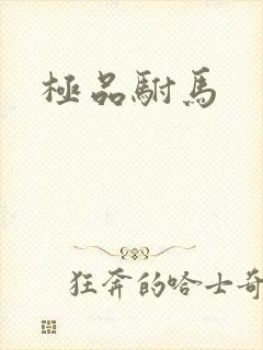 极品驸马