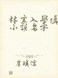 林寒入学填未婚小说名字