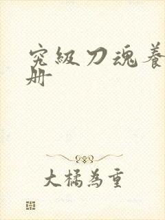 究级刀魂养成手册