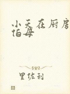 小天在厨房插杨伯母