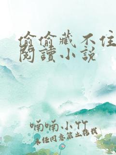 偷偷藏不住免费阅读小说