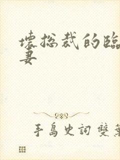 坏总裁的临时娇妻