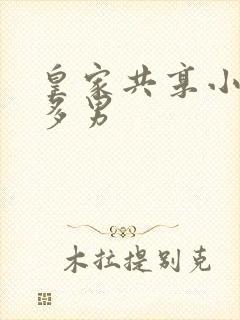 皇家共享小公主多男