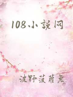 108小说网