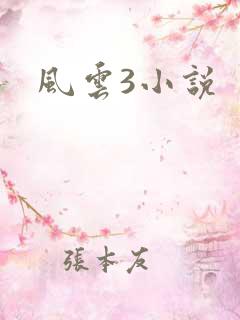 风云3小说