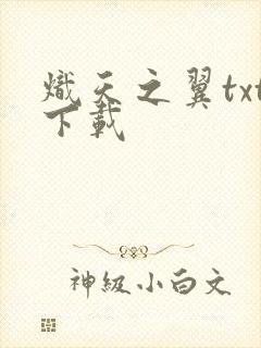 炽天之翼txt下载