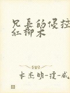兄长的侵控by红柳木