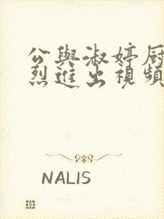 公与淑婷厨房猛烈进出视频