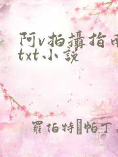 阿v拍摄指南说txt小说