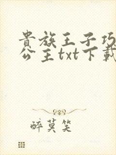 贵族王子巧遇穷公主txt下载