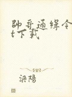 帅哥通缉令txt下载