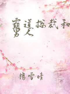 霸道总裁和他的男人