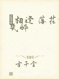 囍相逢 落花能几醉