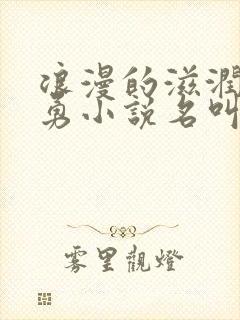 浪漫的滋润刘大勇小说名叫什么?