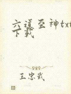 六道至神txt下载