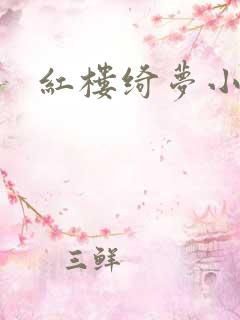红楼绮梦小说