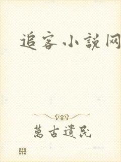 追客小说网