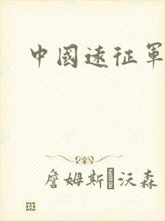 中国远征军小说