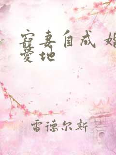 宠妻自成 婚天爱地