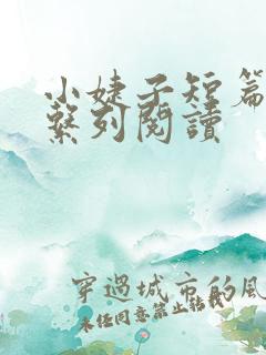 小婕子短篇小说系列阅读