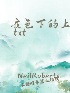 夜色下的上海滩 txt