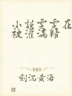 小说雯雯在工地被灌满精