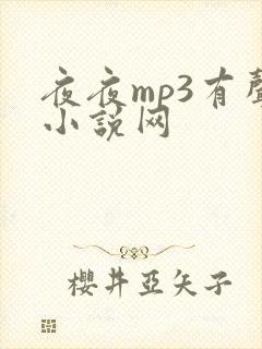 夜夜mp3有声小说网