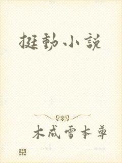 挺动小说