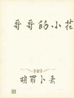 哥哥的小花妖