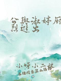 公与淑婷厨房猛烈进出