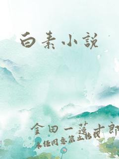 白素小说