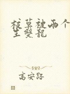 校草被两个体育生双龙