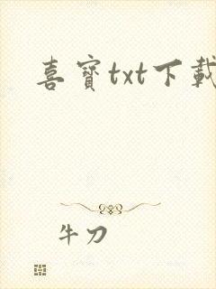 喜宝txt下载