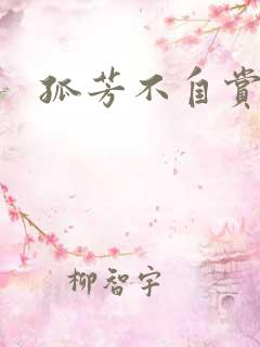 孤芳不自赏小说