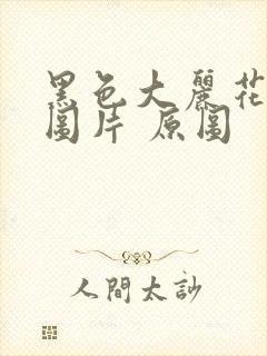 黑色大丽花真实图片 原图