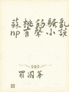 苏桃的骚乱文肉np有声小说