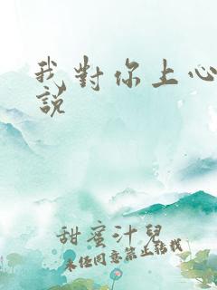 我对你上心了小说