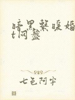 暗黑系暖婚txt网盘