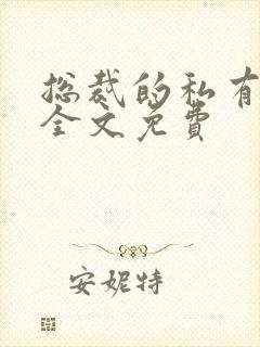 总裁的私有宝贝全文免费