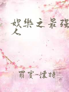 娱乐之最强经纪人