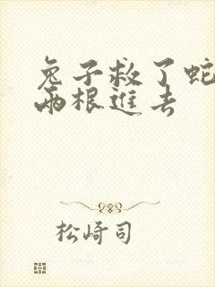 兔子救了蛇被蛇两根进去